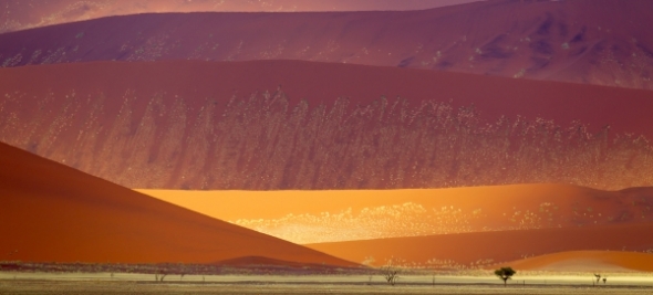 Dünen in der Naukluft. Foto: Yathin S. Krishnappa